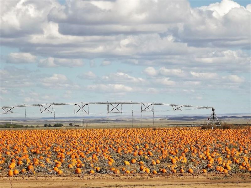 Estancia Valley NM Center Pivot Ranch for Sale in Estancia, Torrance