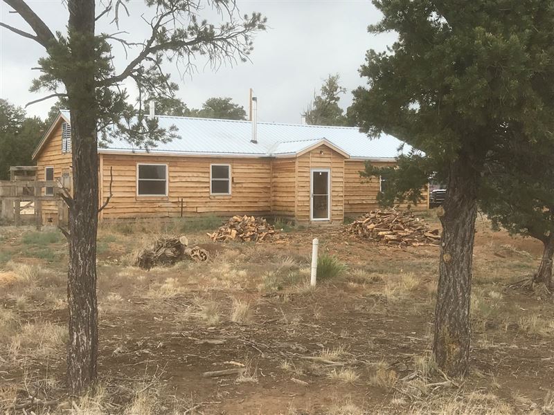 Northern NM Hunting Ranch / Acreage, Ranch for Sale in New Mexico