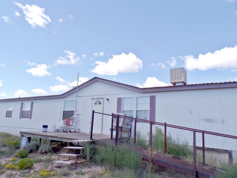 220 Acres New Mexico Ranch Land, Ranch for Sale in New Mexico, 166006