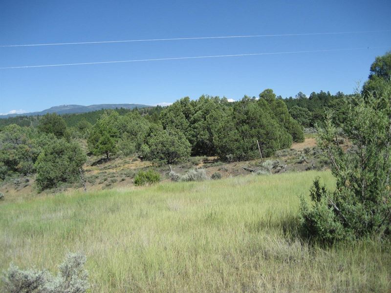 Great Mountain, River Meadow Vistas : Rutheron : Rio Arriba County : New Mexico