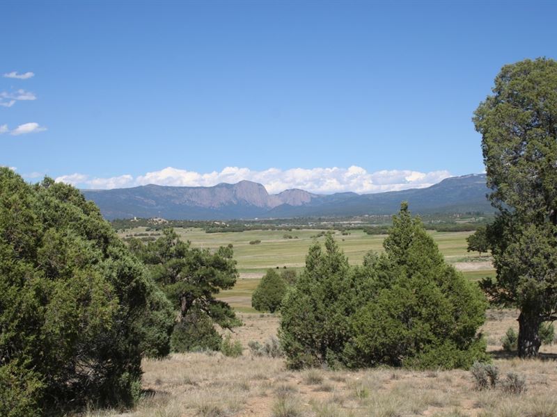Land Chama Minutes From Heron Lake : Rutheron : Rio Arriba County : New Mexico