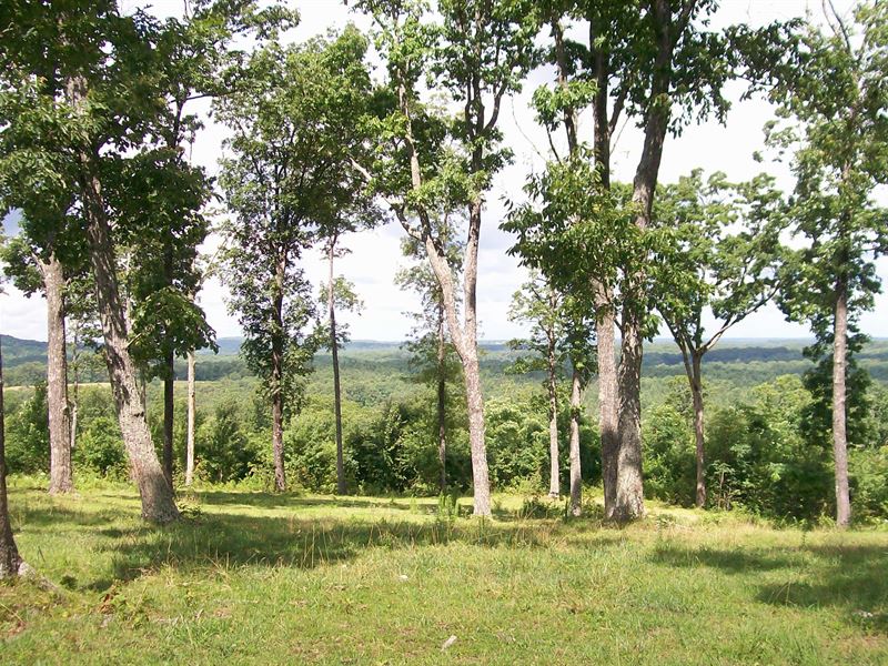 Ranch / Farm with Amazing Views : Pikeville : Bledsoe County : Tennessee