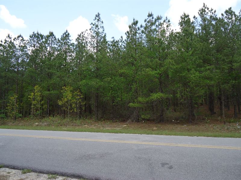 11.58 Acres Beautiful Country : Cassatt : Kershaw County : South Carolina