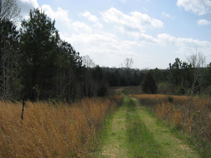 Large Acreage TN Land Creek Ranch for Sale in Adamsville, McNairy