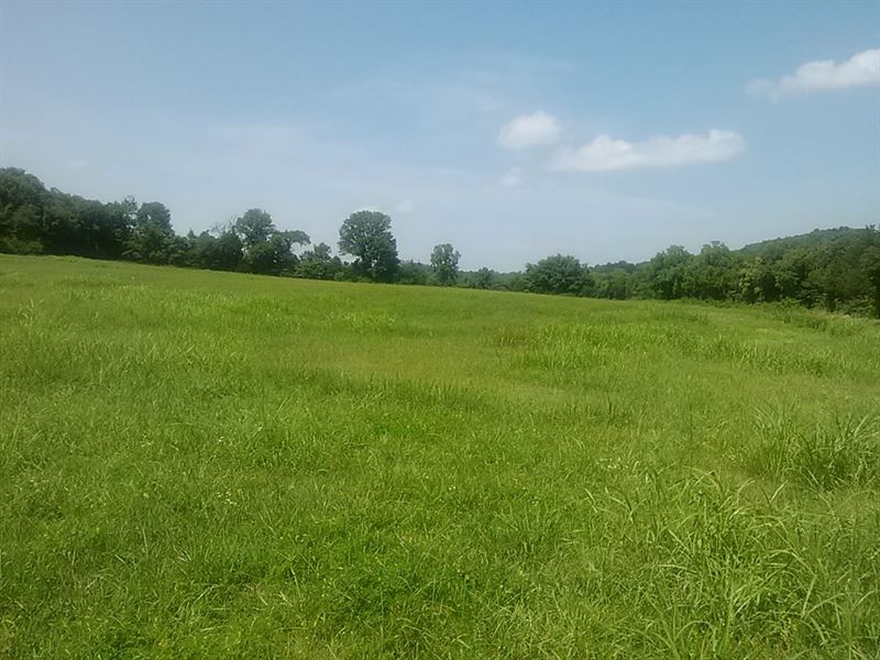 Farmland/Marshall CO : Belfast : Marshall County : Tennessee