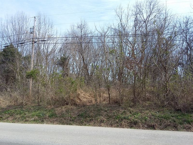 Culleoka, TN Maury County 50 Acres : Culleoka : Maury County : Tennessee