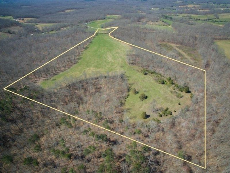 Acreage for Sale in Franklin TN : Franklin : Williamson County : Tennessee