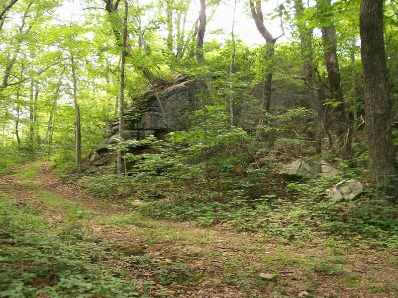Versatile, Rare, Water, Rock, Views : Pikeville : Bledsoe County : Tennessee