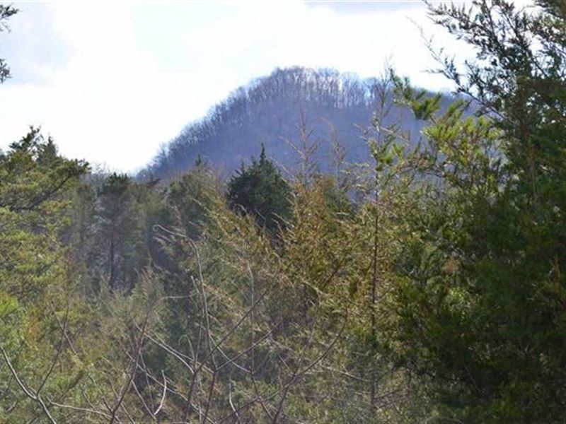 300 Acres Beautiful Mountain : Sneedville : Hawkins County : Tennessee