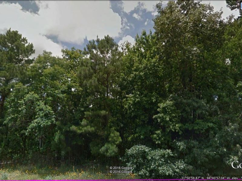 233 Ac Hunting Recreation Timber : Mount Enterprise : Rusk County : Texas