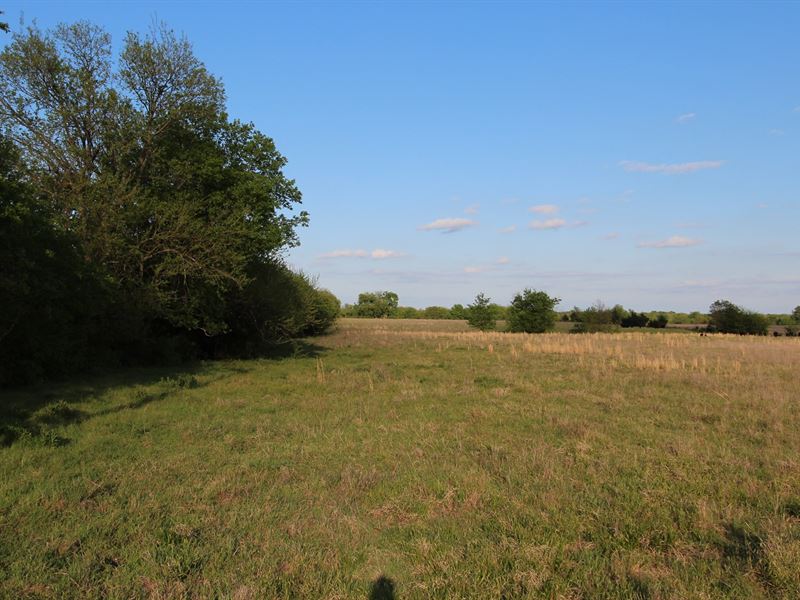 Country Ranch Land Petty Texas, Ranch for Sale in Texas, 167603