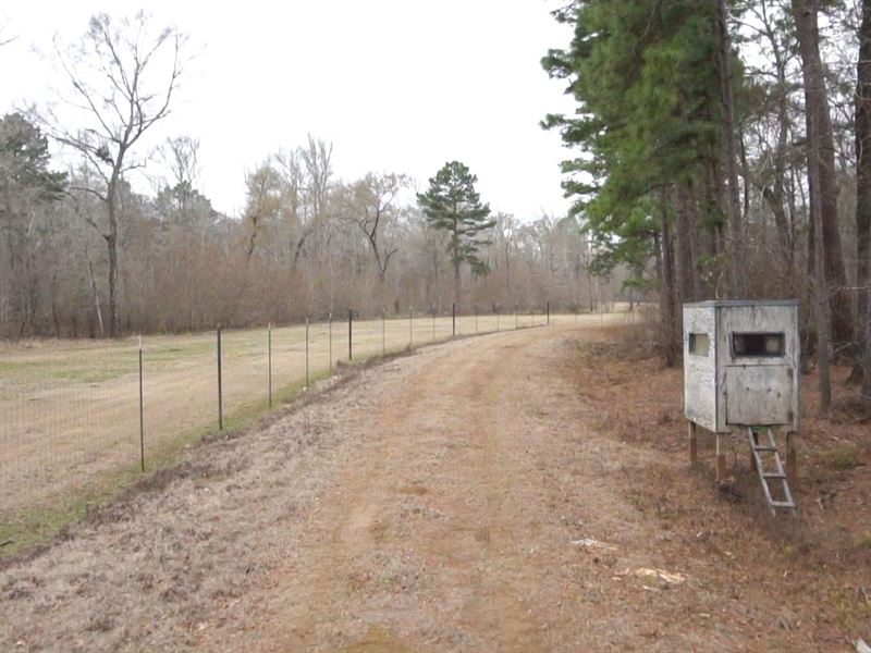 Land Neches River, Hardwood Bottom, Ranch for Sale in Texas, 167642