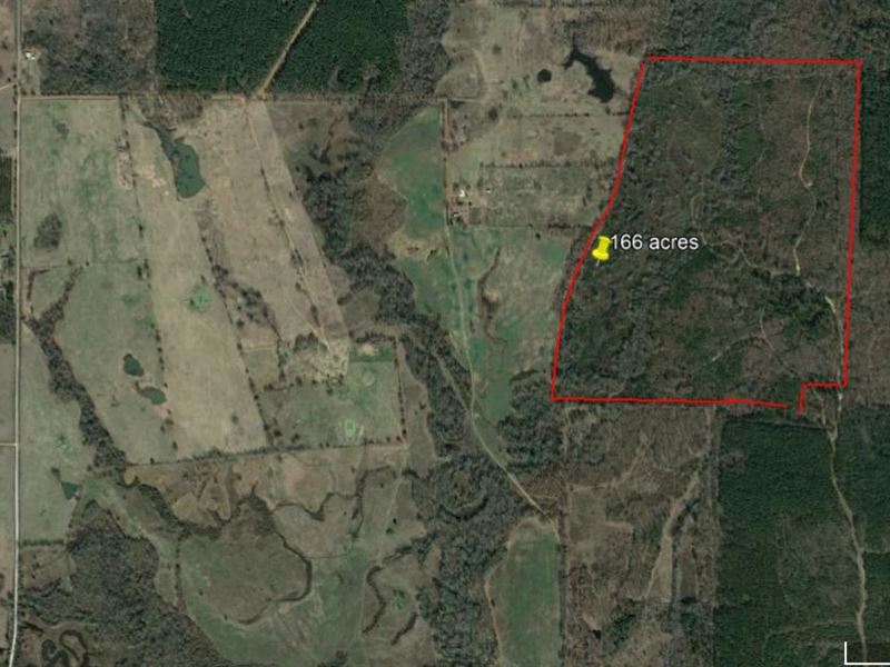 Hunting / Recreation Bowie County : Simms : Bowie County : Texas