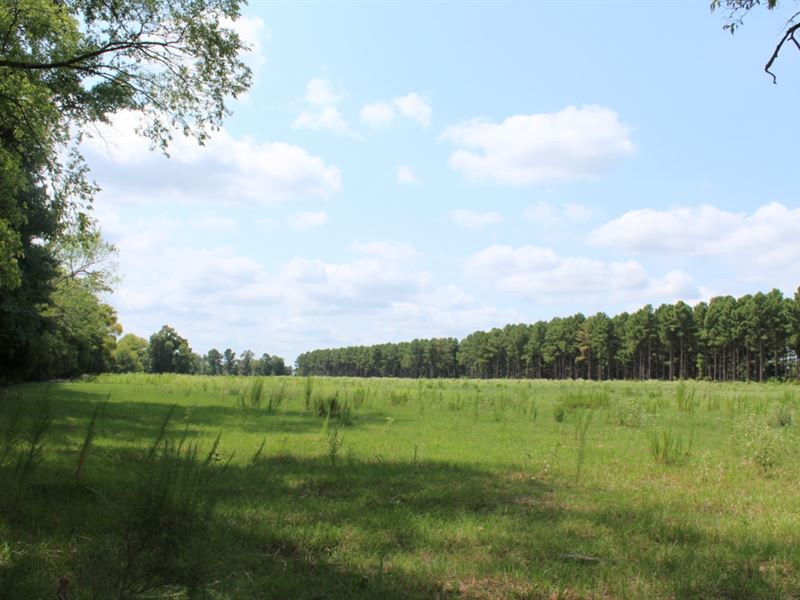 17.5 Acres Pasture Grazing Hunting : Winnsboro : Wood County : Texas