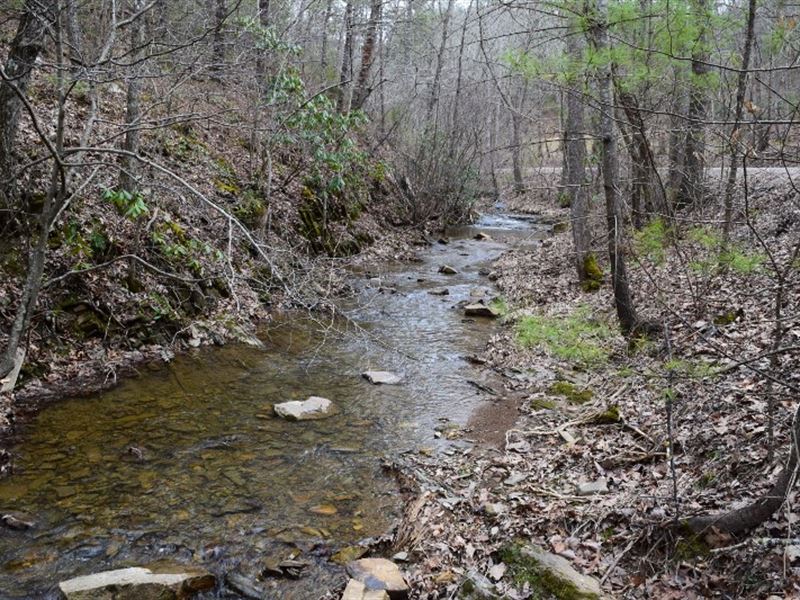 Acreage Wooded Timberland : Blacksburg : Montgomery County : Virginia