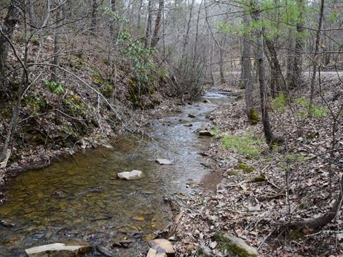 Acreage Wooded Timberland : Blacksburg : Montgomery County : Virginia