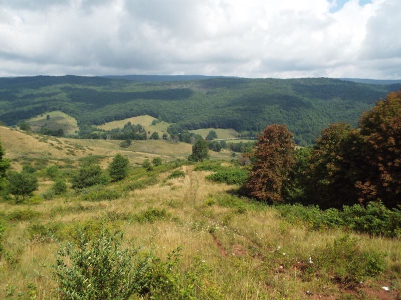 Land With Great Potential Bland, VA Ranch for Sale in Bland, Bland