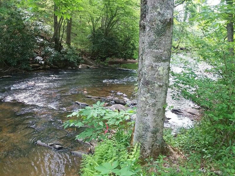 Recreational Property Dugspur VA : Dugspur : Carroll County : Virginia