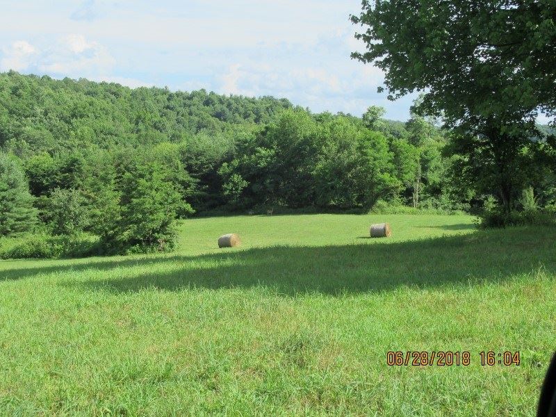 Floyd VA Farm Land, Joins Blue Ranch for Sale in Floyd, Floyd County