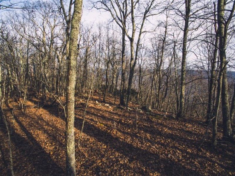 Large Acreage in Bland County, VA : Narrows : Bland County : Virginia