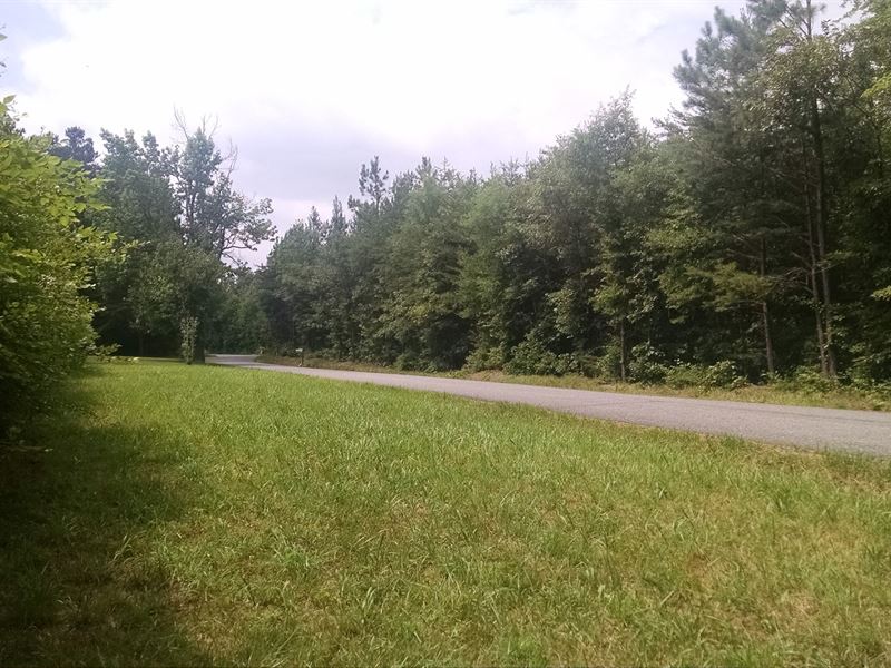 Caroline County Building Lot : Woodford : Caroline County : Virginia