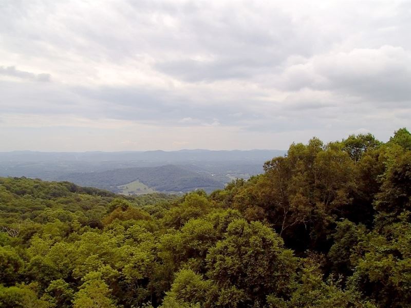 11.668 Acres That Offers Security : Independence : Grayson County : Virginia