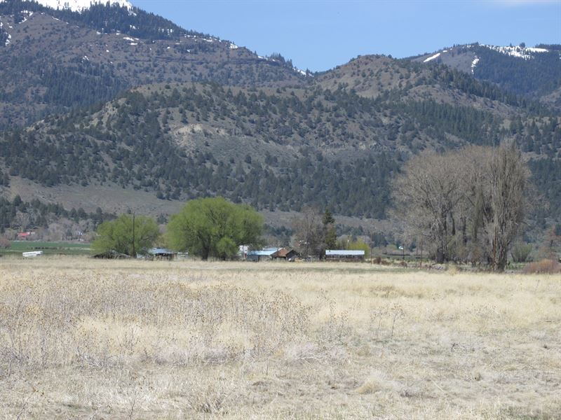 Surprise Valley Ranch for Sale : Lake City : Modoc County : California