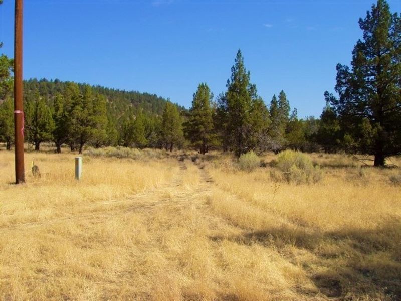 Modoc County Acreage with Well : Canby : Modoc County : California