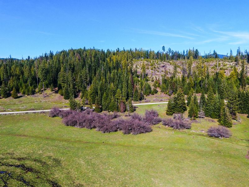 220 Acres Recreational Land, Meadow, Ranch for Sale in Idaho, 169942