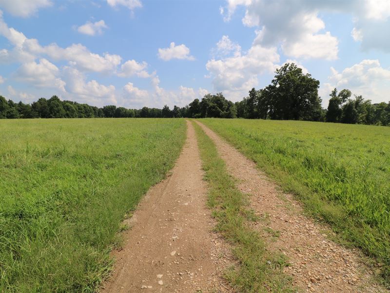 homes for sale in casey county ky