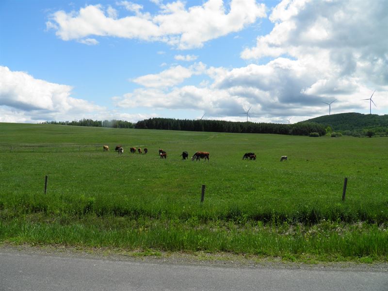 Maine Land for Sale in Oakfield : Oakfield : Aroostook County : Maine