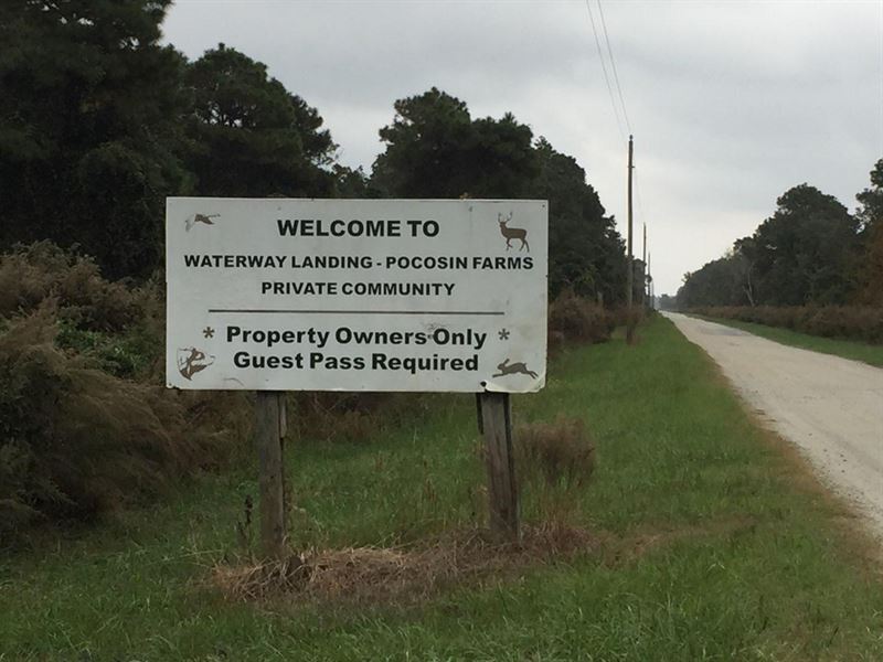 Hyde County, NC Hunting Property : Belhaven : Hyde County : North Carolina