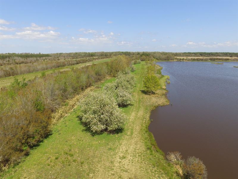 Hyde County, NC Hunting Property : Fairfield : Hyde County : North Carolina