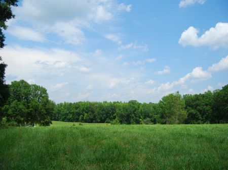 229 Acres On S. Tyger River : Spartanburg : Spartanburg County : South Carolina
