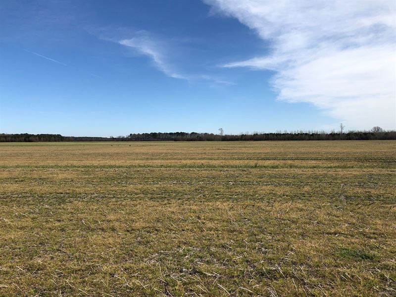 Farmland Beaufort Co, Nc : Pinetown : Beaufort County : North Carolina