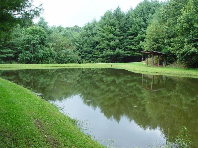 Land, Pond, Creek, Springs, Blue : Sparta : Alleghany County : North Carolina