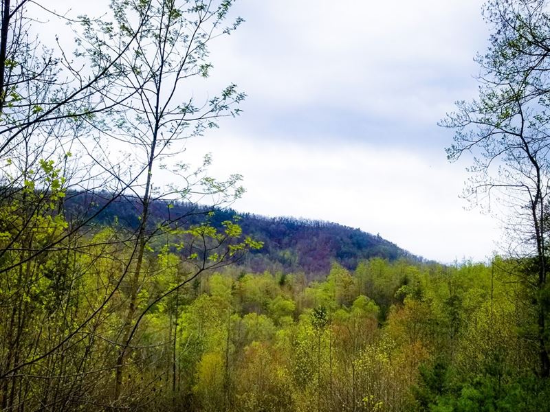 755+ / Acres in Wilkes County, NC : Wilkesboro : Wilkes County : North Carolina