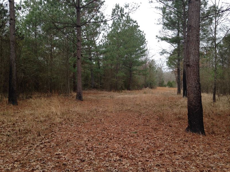 Land for Sale in Broken Bow OK : Broken Bow : McCurtain County : Oklahoma
