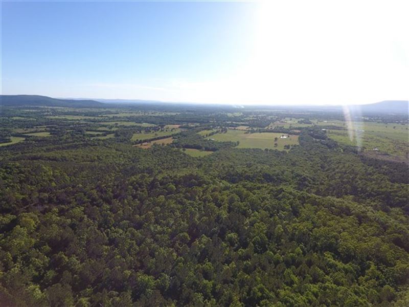 90 Acre Timber Investment Hunting : Poteau : Le Flore County : Oklahoma