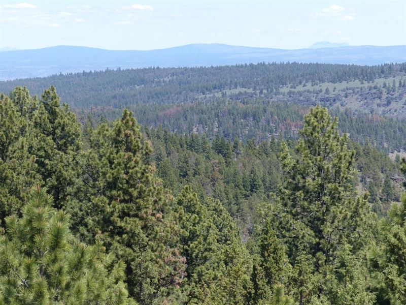 Burns, Timbered Parcel Northeast : Burns : Harney County : Oregon