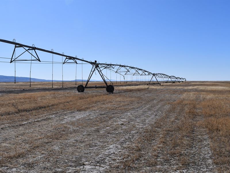 Pivot Irrigated Acreage for Sale : Burns : Harney County : Oregon
