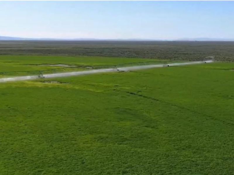 Organic Farm for Sale in Burns, Or : Burns : Harney County : Oregon