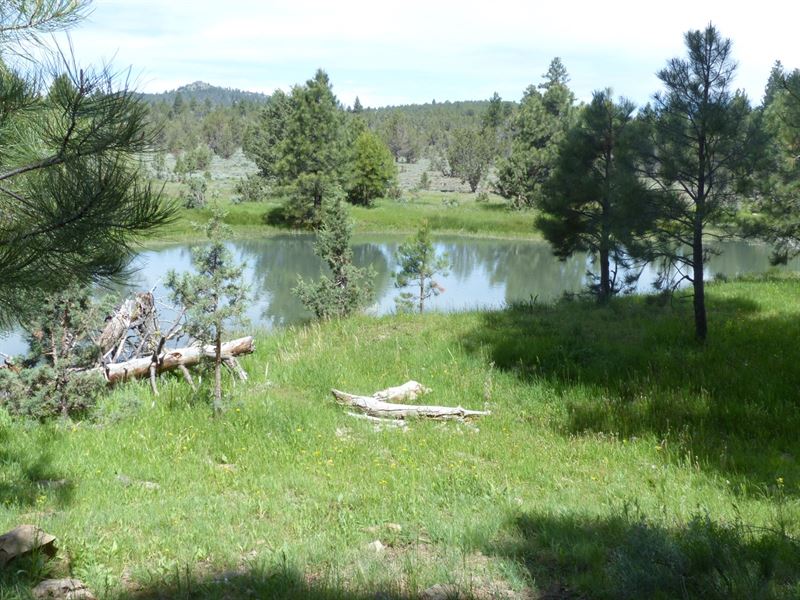 Eastern Oregon Hunters Oasis : Burns : Harney County : Oregon