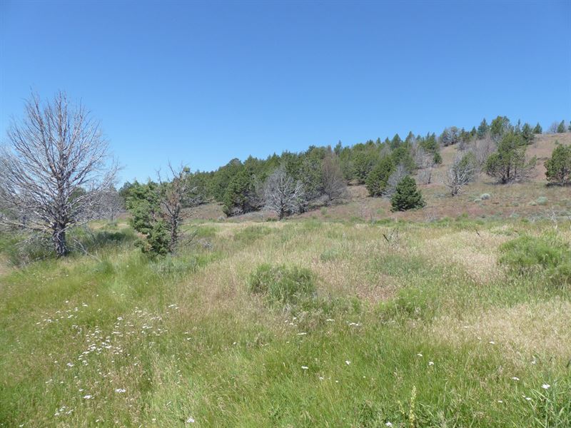 Recreational Hunting Property : Frenchglen : Harney County : Oregon