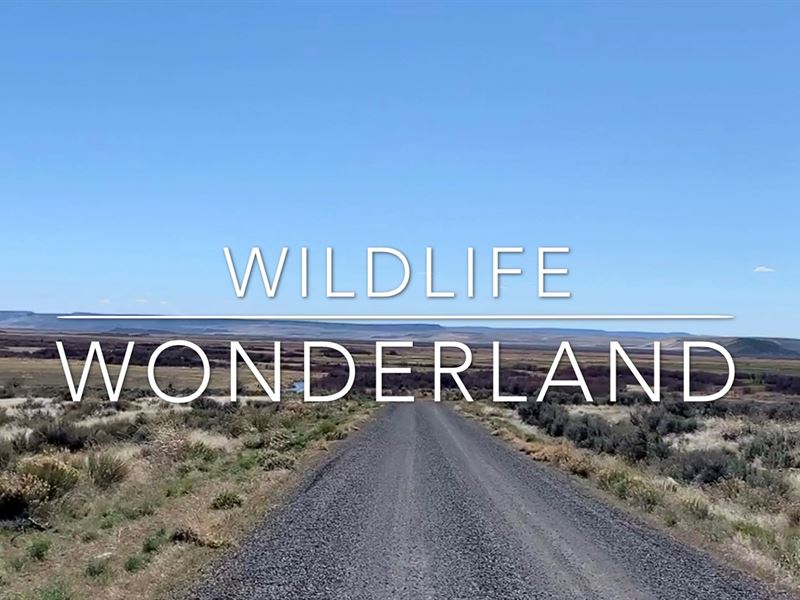 Wildlife Wonderland Boarding : Princeton : Harney County : Oregon