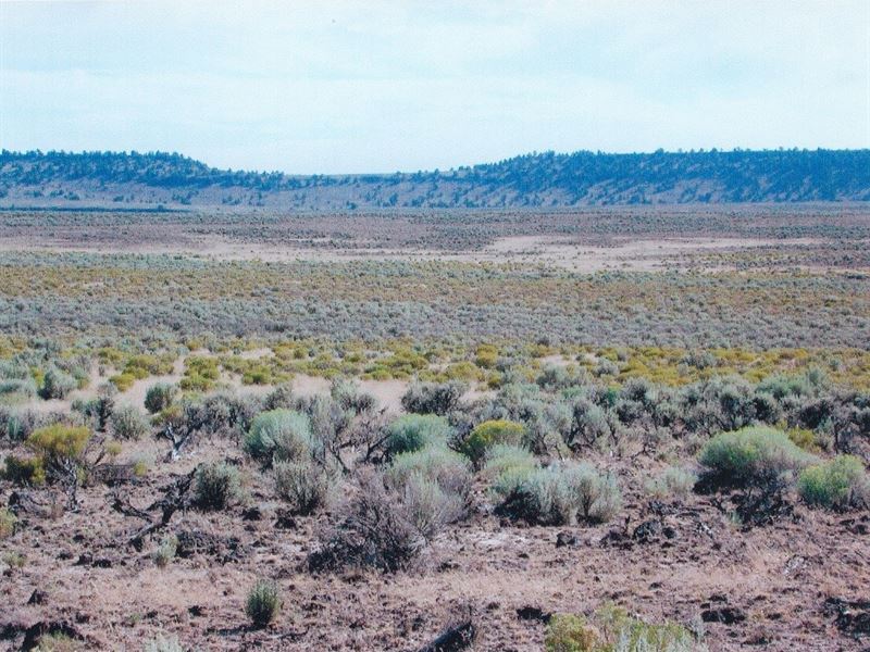 40 Acres, Recreational Property : Riley : Harney County : Oregon