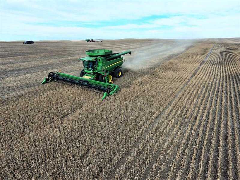 1,353.84 Acres Working Farm & Ranch : Ree Heights : Hand County : South Dakota