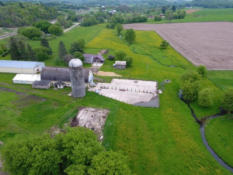 Hobby Farm, Country Home, Dairy : Tomah : Monroe County : Wisconsin