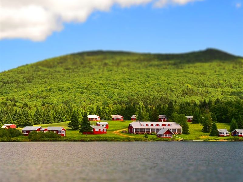 Sporting Camp Wild Maine Brook : Burlington : Piscataquis County : Maine