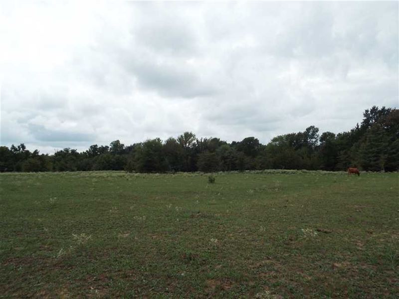 Recreational Hunting Pasture Acrea : Boswell : Choctaw County : Oklahoma
